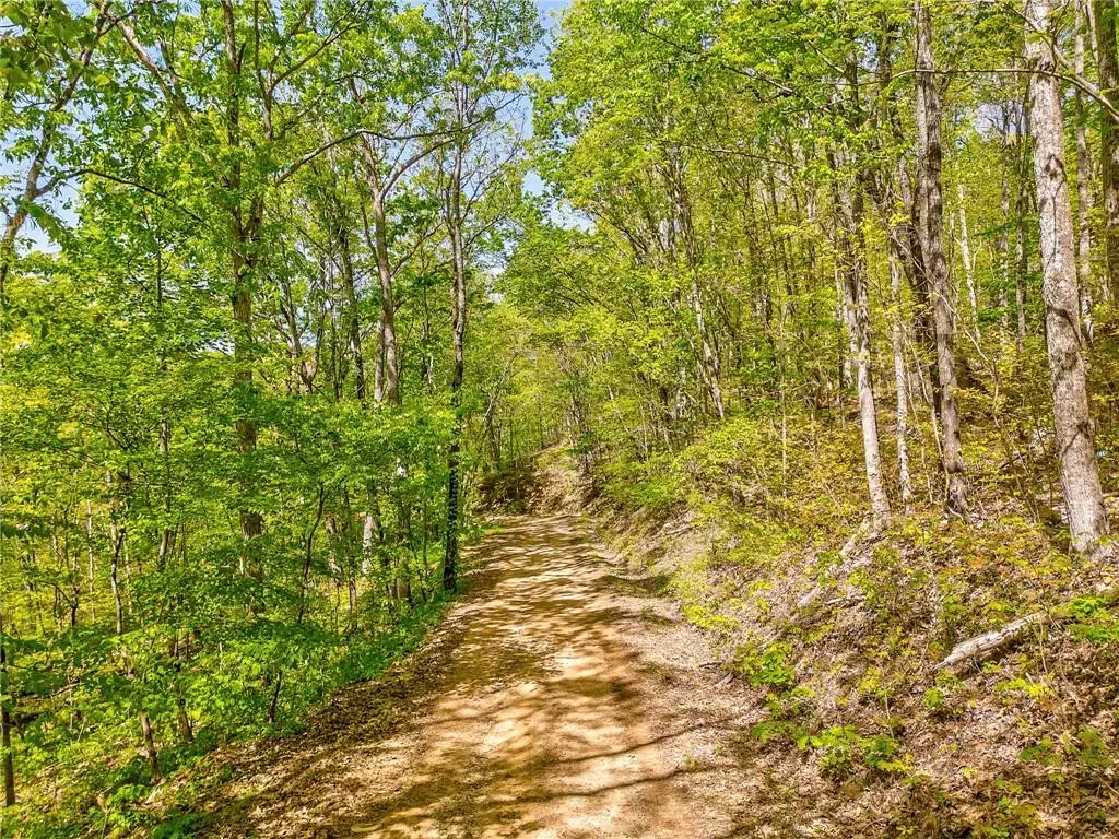 418 Dunaway Gap Ne, Summerville, GA 30747 - Image #1