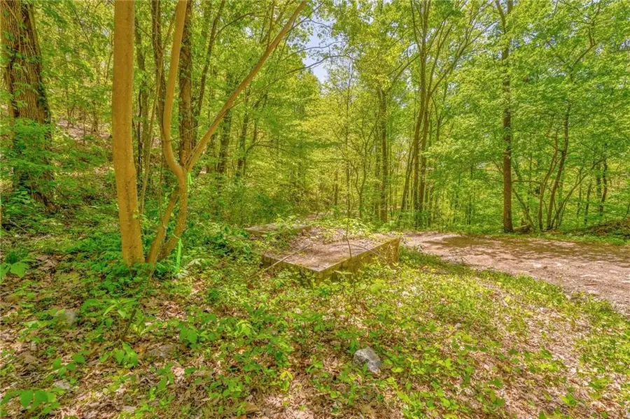 418 Dunaway Gap Ne, Summerville, GA 30747 - Image #3