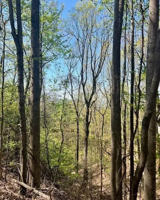 450 Wild Turkey Bluff, Jasper, GA 30143 - #2