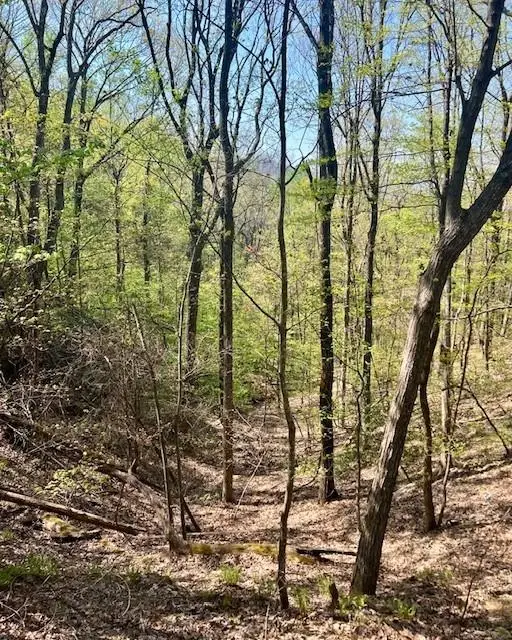 450 Wild Turkey Bluff, Jasper, GA 30143 - #3