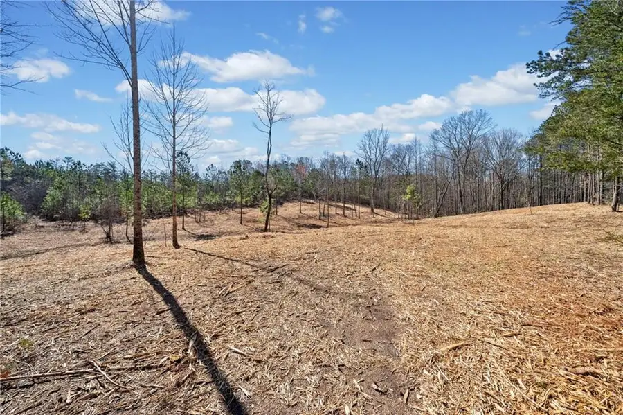 426 Mt. Olive Church Lane, White, GA 30184 - #2