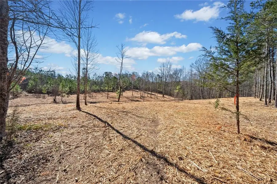 426 Mt. Olive Church Lane, White, GA 30184 - #3