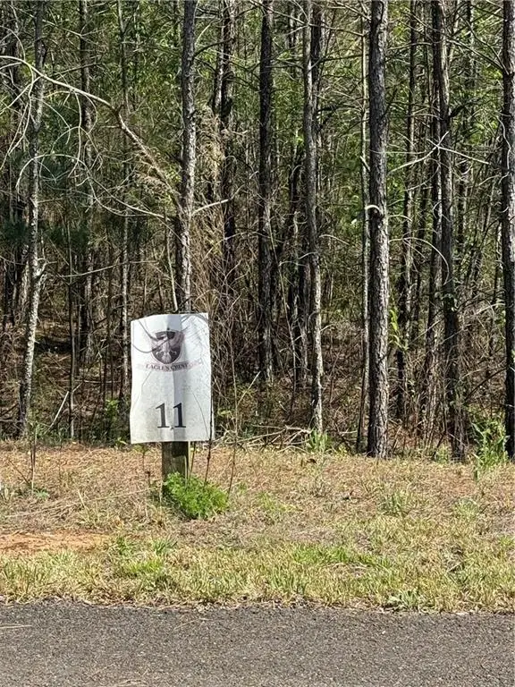 0 Eastview Trail, Ellijay, GA 30536 - Image #1