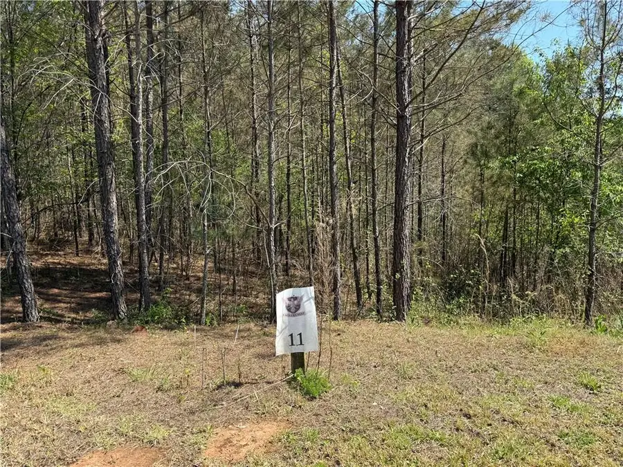 0 Eastview Trail, Ellijay, GA 30536 - Image #3