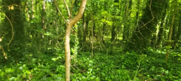 0 Watkins Glen Drive, Kennesaw, GA 30144