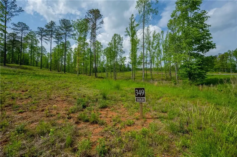 L349 The Vineyard At Yukon, Ellijay, GA 30540 - Image #2