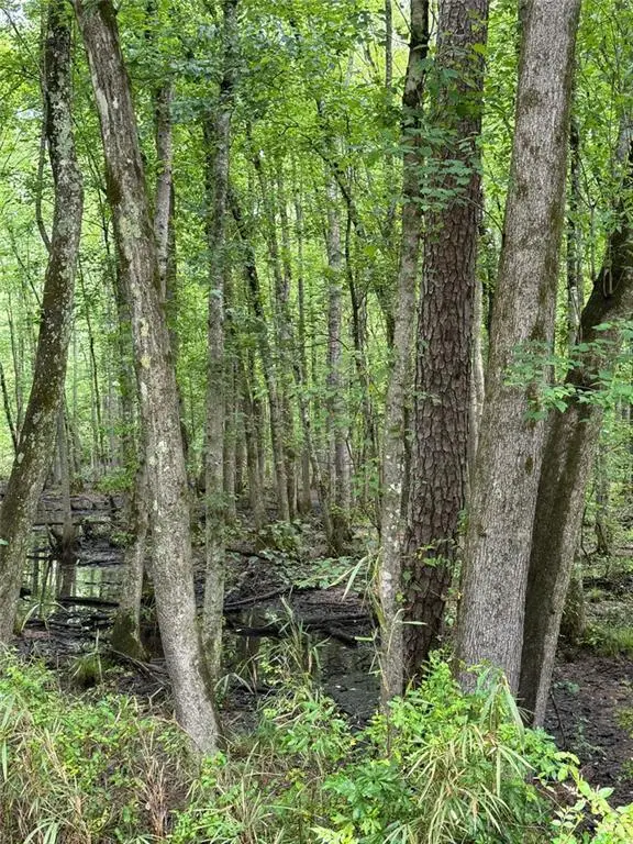 0 Friendship Church Road Sw, Marietta, GA 30064 - Image #3