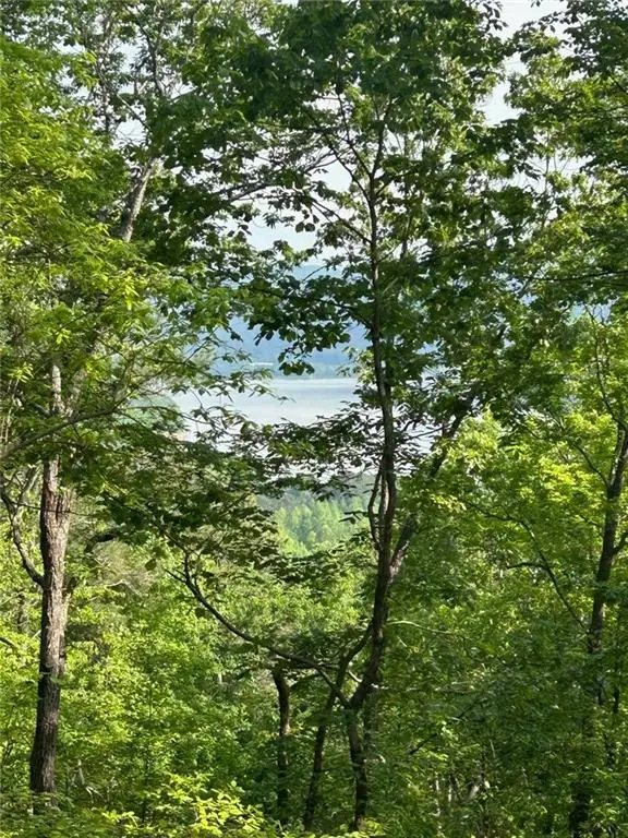 324 Adair Drive, Ranger, GA 30734 - Image #1