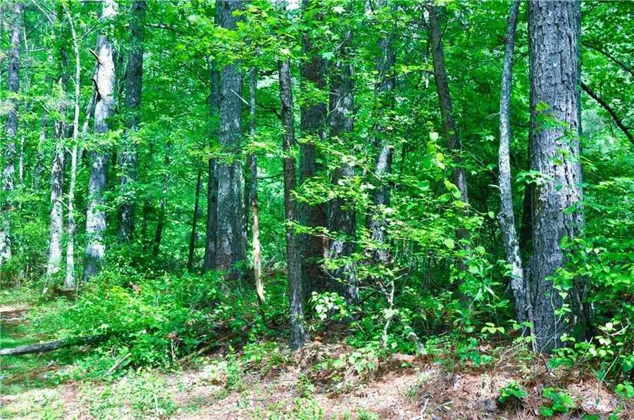 00 Coppermine Road, Buchanan, GA 30113 - Image #2