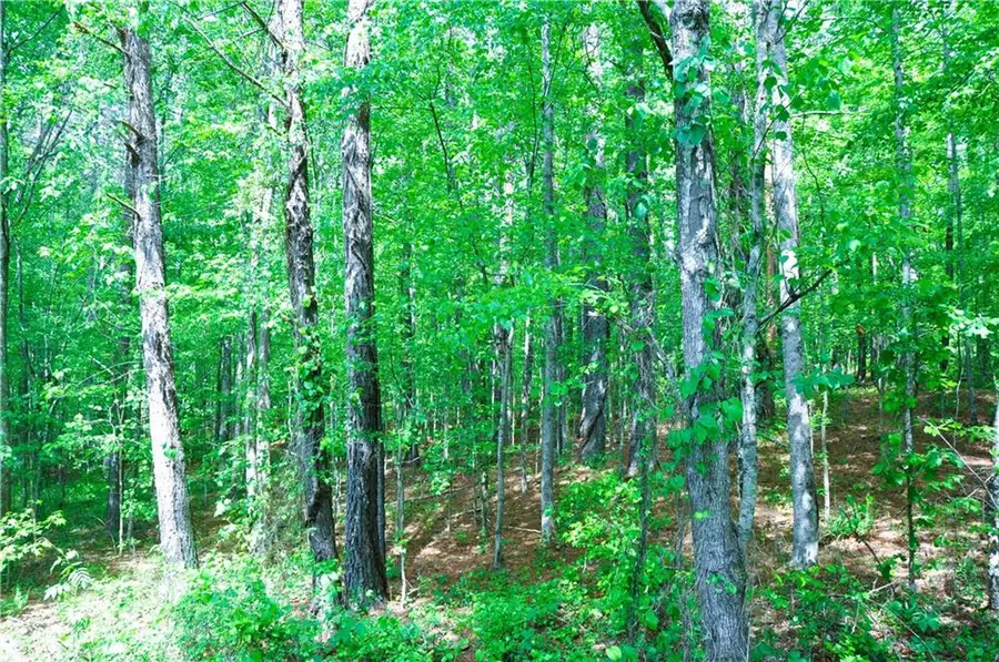 00 Coppermine Road, Buchanan, GA 30113 - Image #3