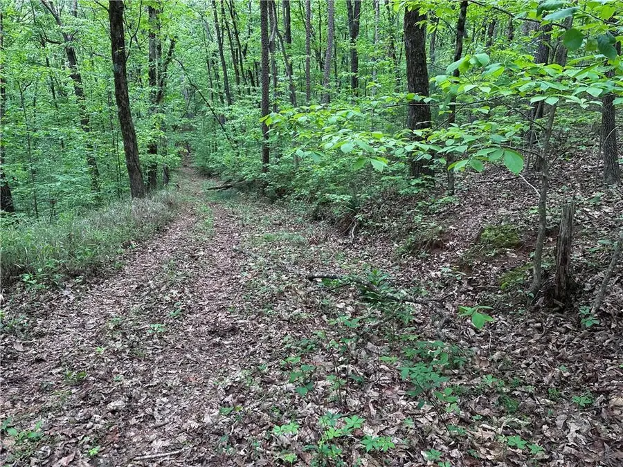 TR1TR3 Flat Branch Trail, Ellijay, GA 30540 - #3