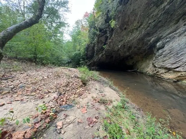 Address Withheld By Seller, Bremen, GA 30110 - Image #1