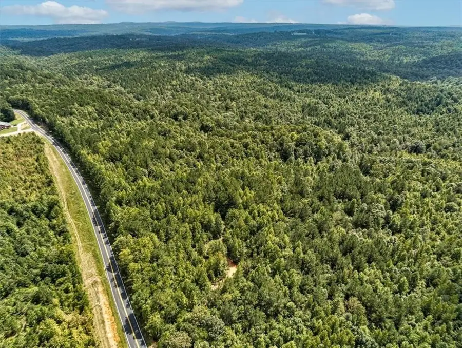 Tk 9 Old Ridgeway Road, Bremen, GA 30110 - Image #2