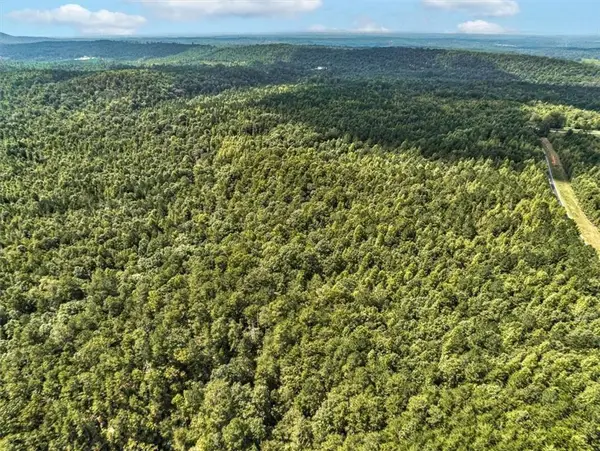 Tk 11 Old Ridgeway Road, Bremen, GA 30110