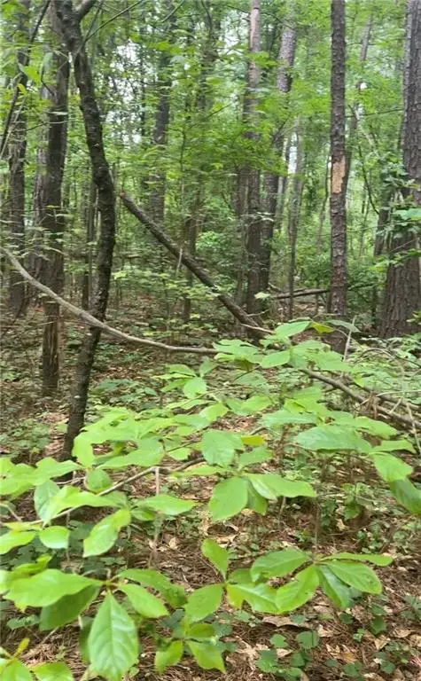 0 Ga-142, Newborn, GA 30056 - Image #1