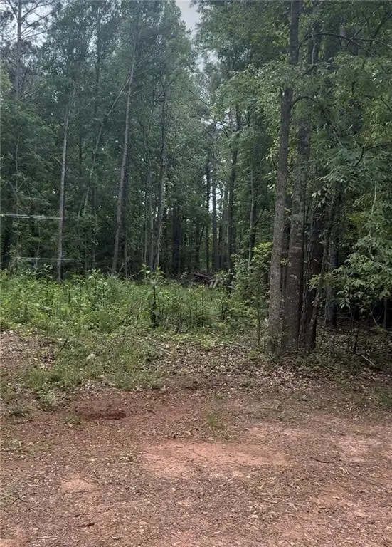 0 Ga-142, Newborn, GA 30056 - Image #2