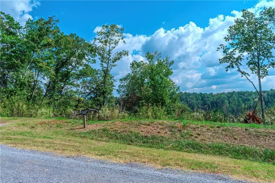 LOT 50 Jakes Landing Way, Ellijay, GA 30540 - #3