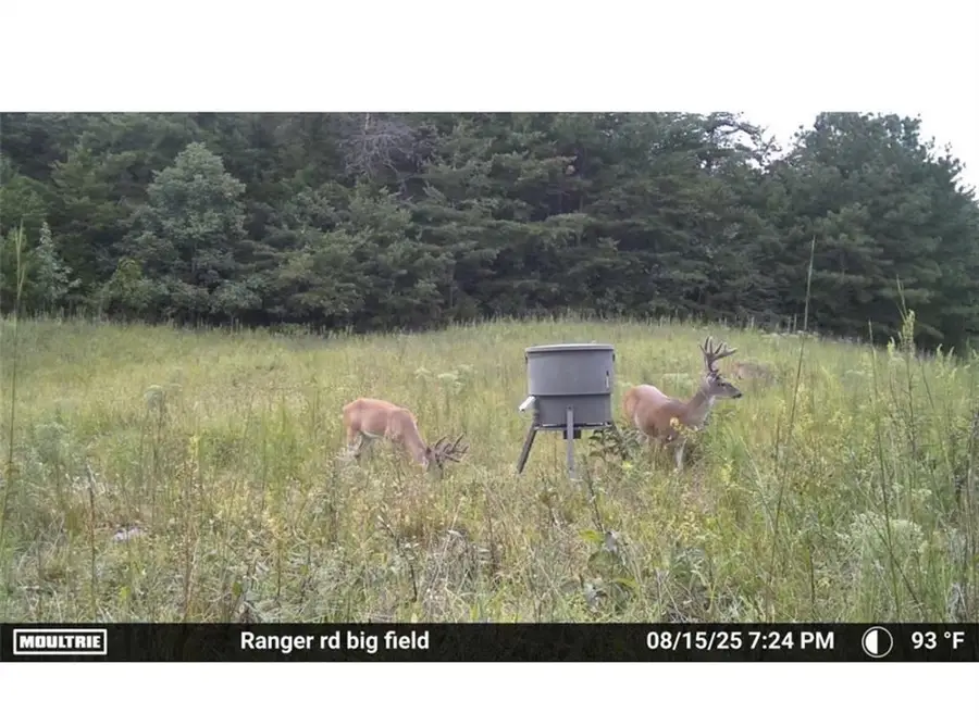 7596 Red Bud Road Ne, Ranger, GA 30734 - Image #2