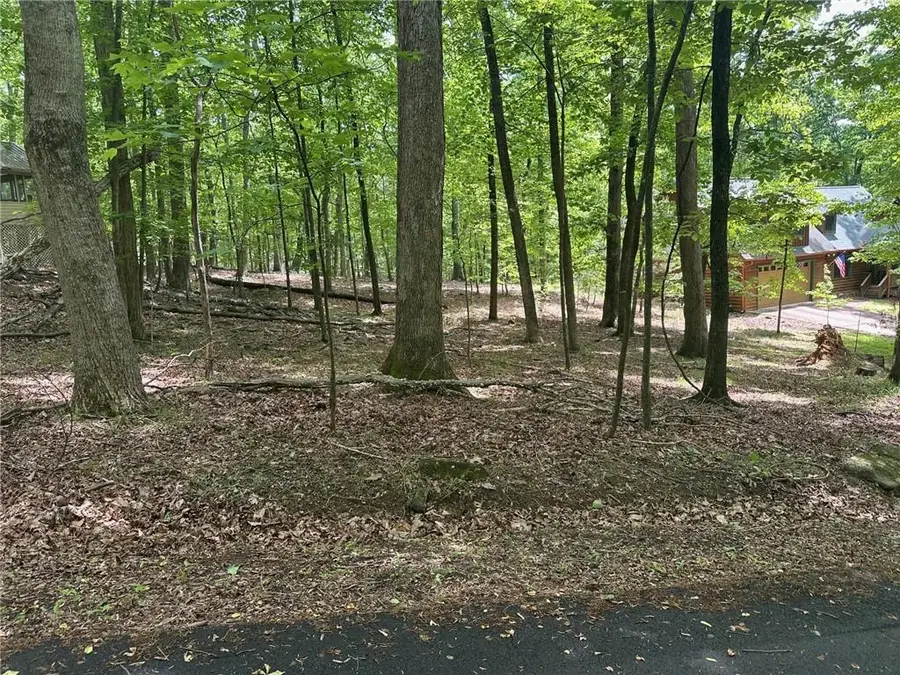 LT43 Rocky Stream Court, Jasper, GA 30143 - Image #3