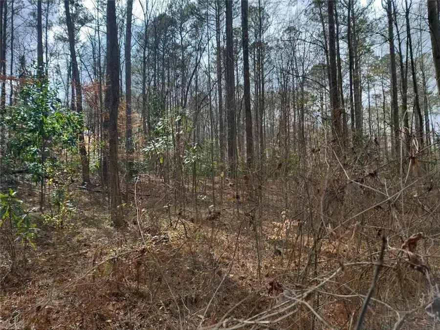 0 Brookwood Drive, Mableton, GA 30126 - Image #3