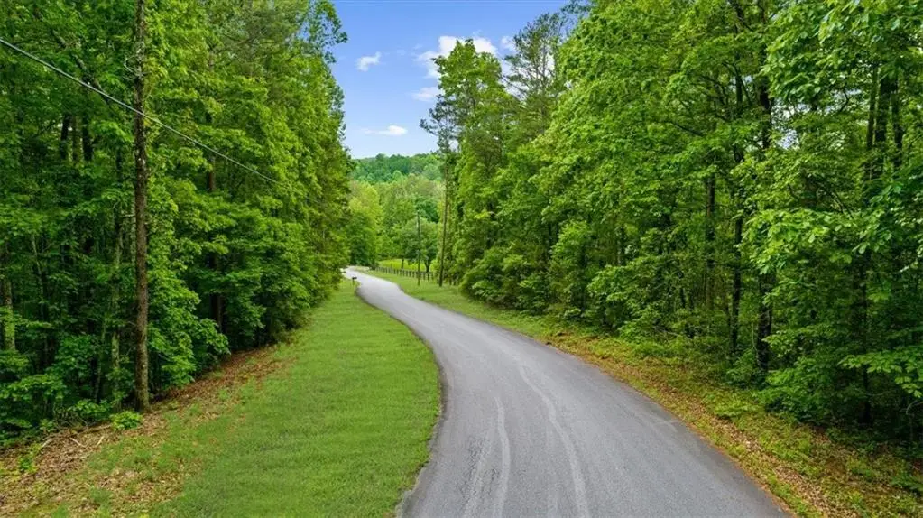 0 Stone Place Drive, Dawsonville, GA 30534 - Image #1