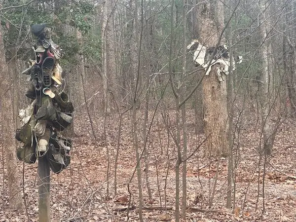 38 &51 Mountain Crest Road, Dawsonville, GA 30534