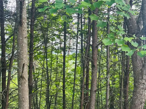 Lot 30 Crown Mountain Way, Dahlonega, GA 30533