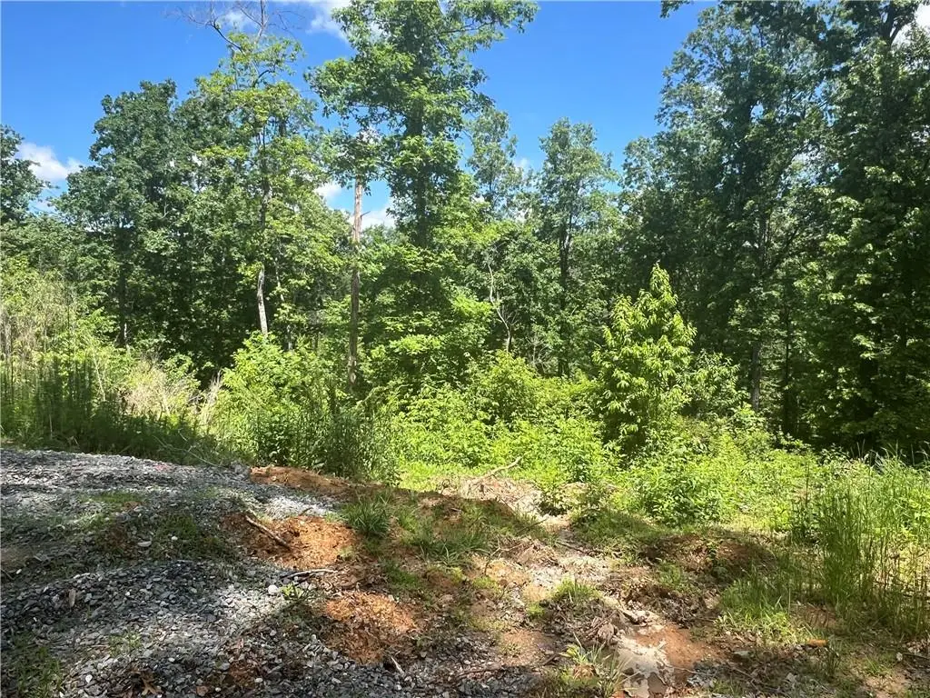 75 Hope Court, Ellijay, GA 30540 - #1