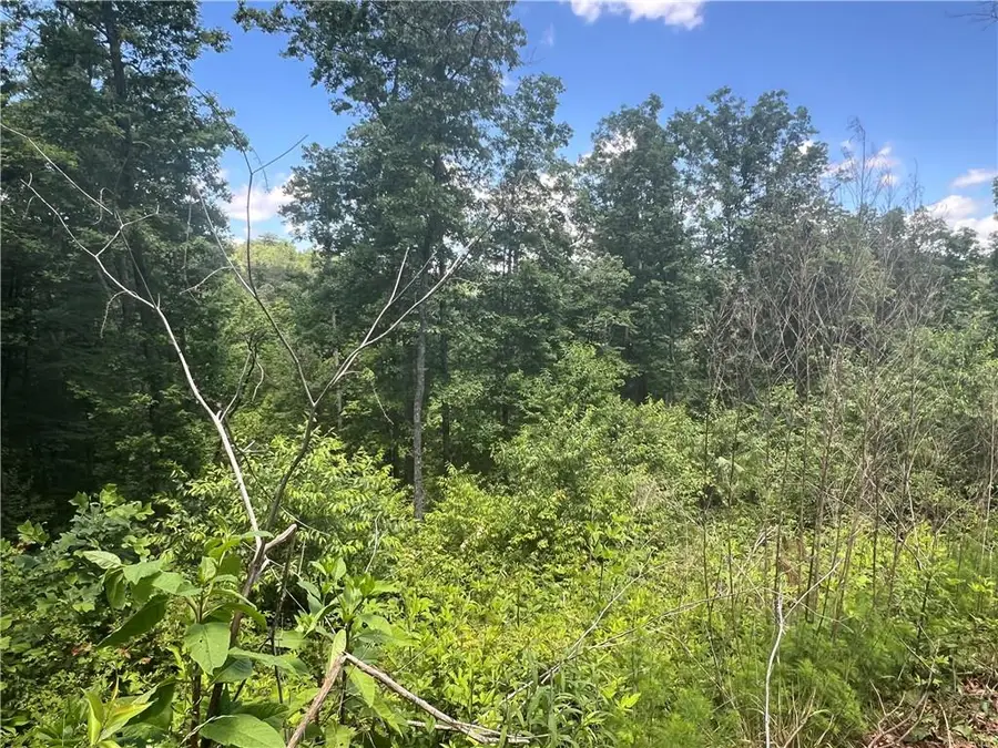 75 Hope Court, Ellijay, GA 30540 - #3