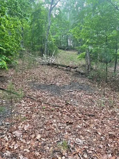 356 Orieole Court, Ranger, GA 30734