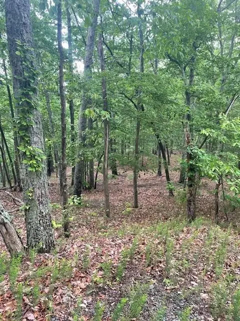 356 Orieole Court, Ranger, GA 30734 - Image #3