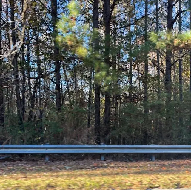 0 Old Bill Cook Road, Atlanta, GA 30349 - Image #3