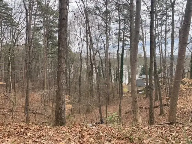 49 Lake Top Drive Se, Cartersville, GA 30121 - Image #1