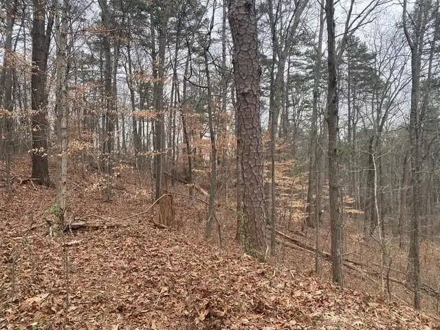 49 Lake Top Drive Se, Cartersville, GA 30121 - Image #2