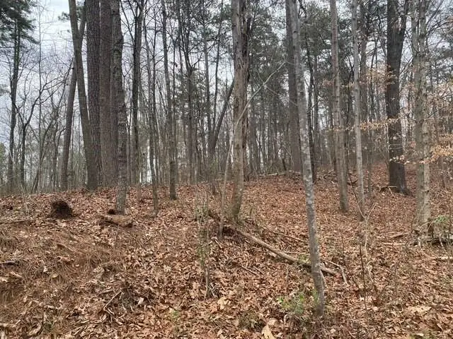 49 Lake Top Drive Se, Cartersville, GA 30121 - Image #3