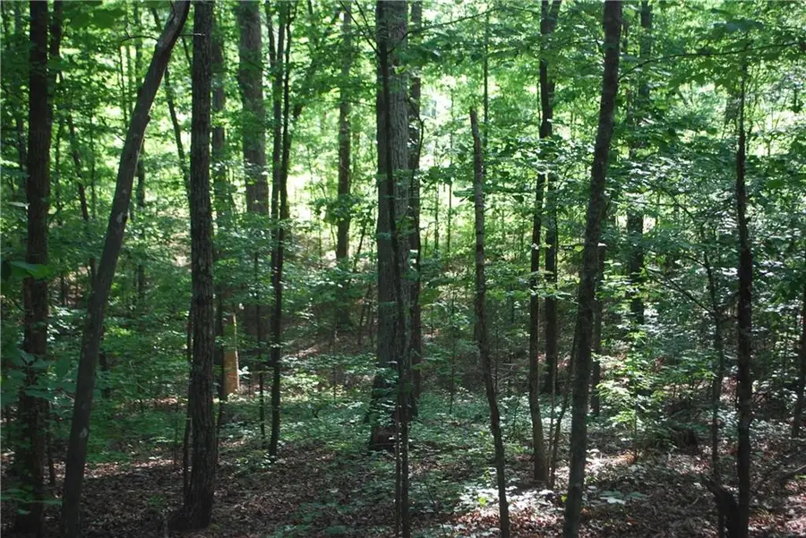 1558 Jamestown Road, Menlo, GA 30731 - Image #2