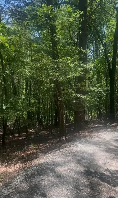 0 Edgewood Drive, Cleveland, GA 30528 - #2