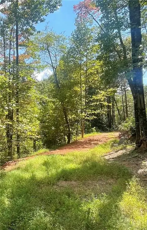 0 Chimney Mountain Road, Sautee Nacoochee, GA 30571