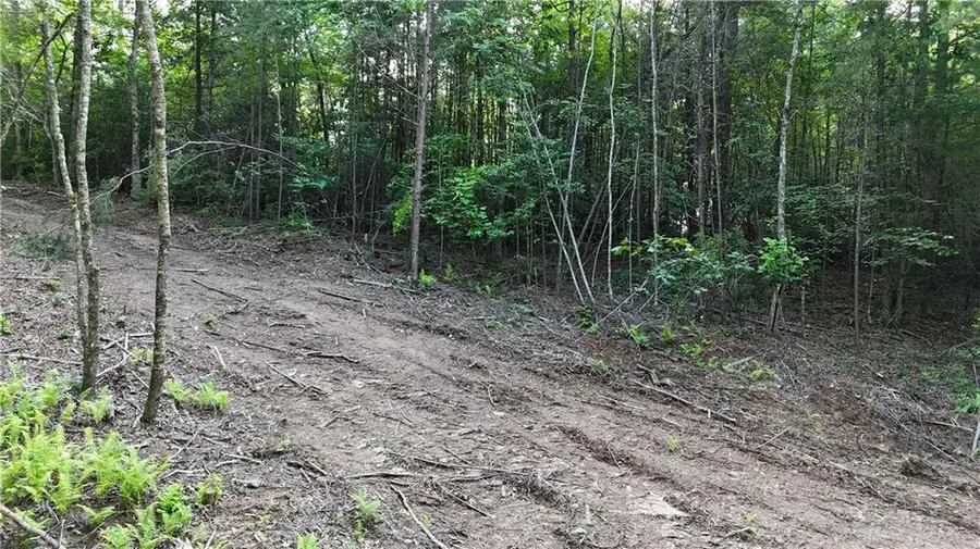 TR 2 East New Hope Road, Ellijay, GA 30536 - Image #3