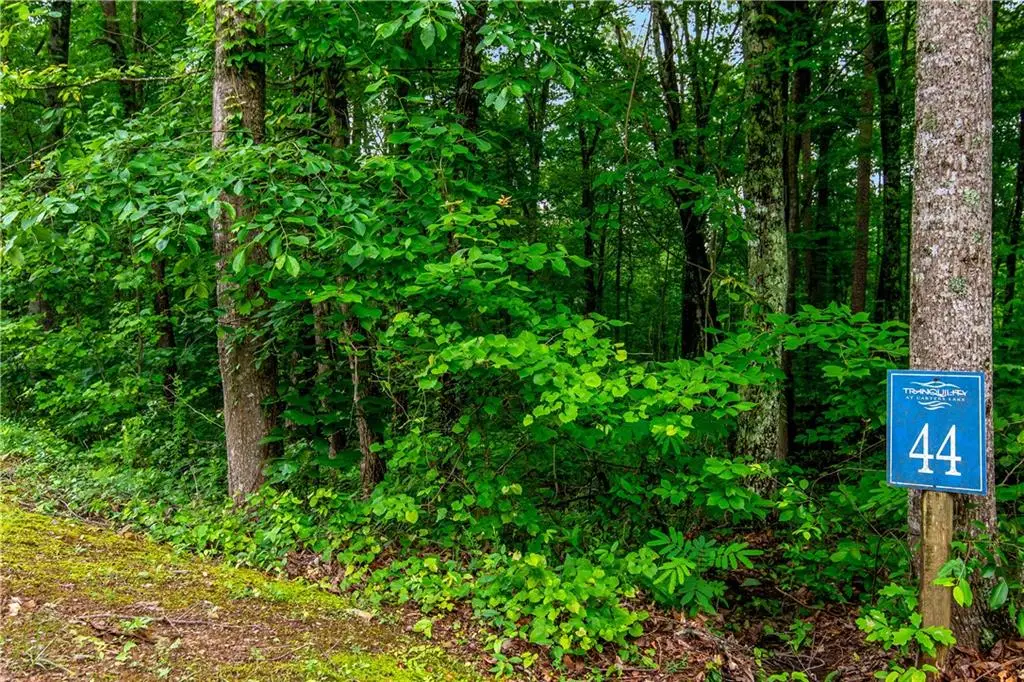 LOT 44 Harris Creek Drive, Ellijay, GA 30540 - #1