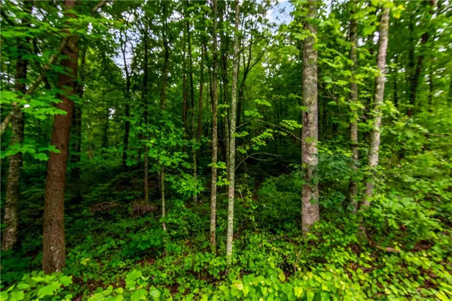 LOT 44 Harris Creek Drive, Ellijay, GA 30540 - #2