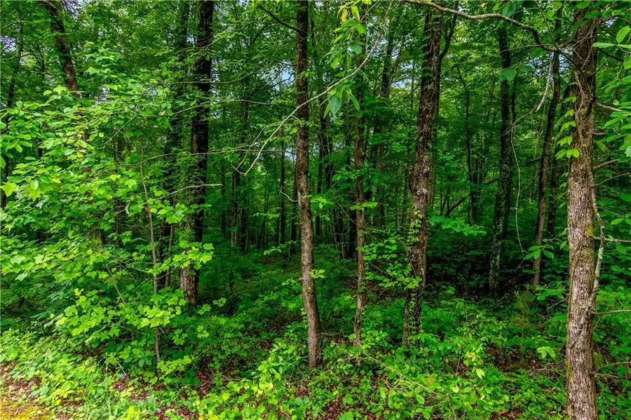 LOT 44 Harris Creek Drive, Ellijay, GA 30540 - #3