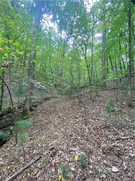 0 Valley View Road, Ellijay, GA 30536 - Image #3