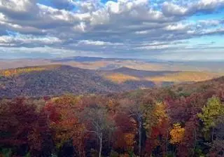 Lot 03 Upper Sassafras Parkway, Jasper, GA 30143 - Image #3