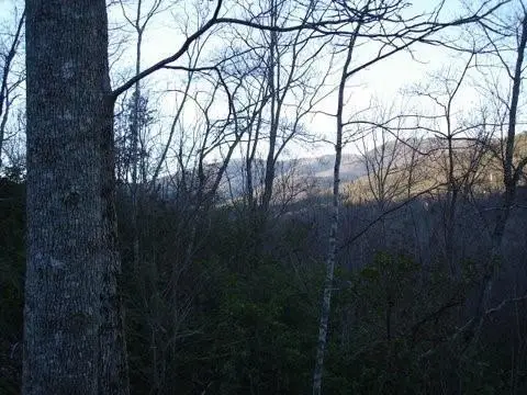 8182 Red Maple Lane, Big Canoe, GA 30143 - Image #1