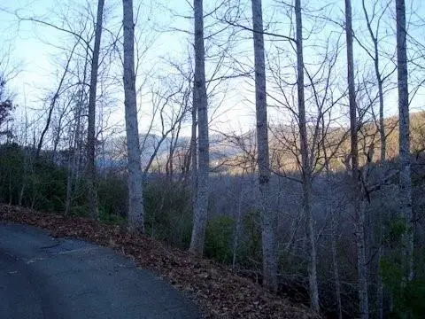 8182 Red Maple Lane, Big Canoe, GA 30143 - Image #2