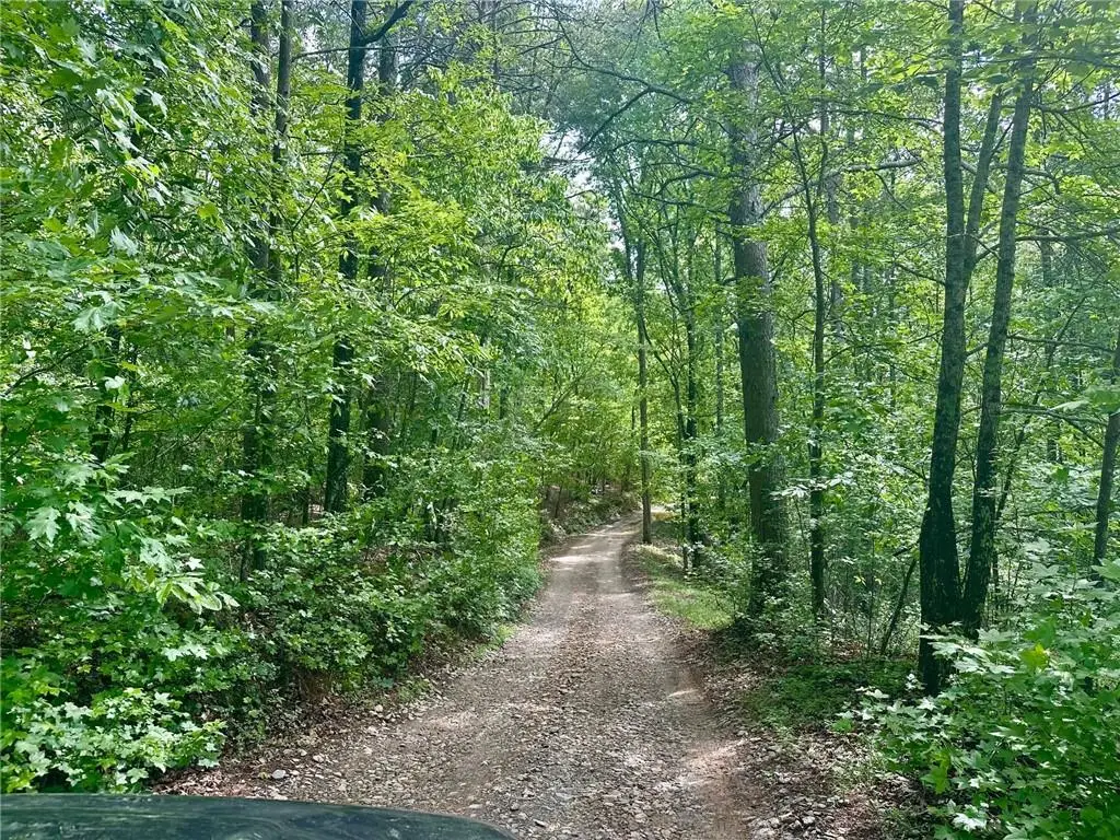 0 Charlie Lemley Road, Dawsonville, GA 30534 - Image #1