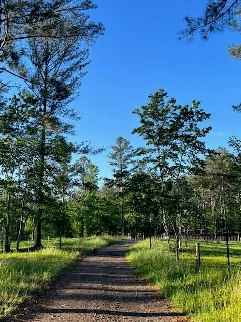 6480 Highway 52 W, Dahlonega, GA 30533