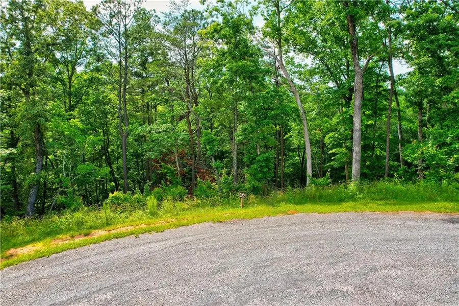 LOT 16 Lake Top Lane, Ellijay, GA 30540 - Image #3