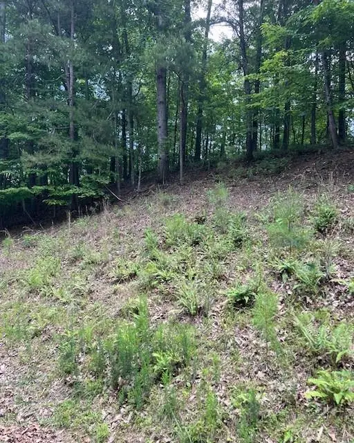 133 Adair Drive Ne, Ranger, GA 30734 - #2